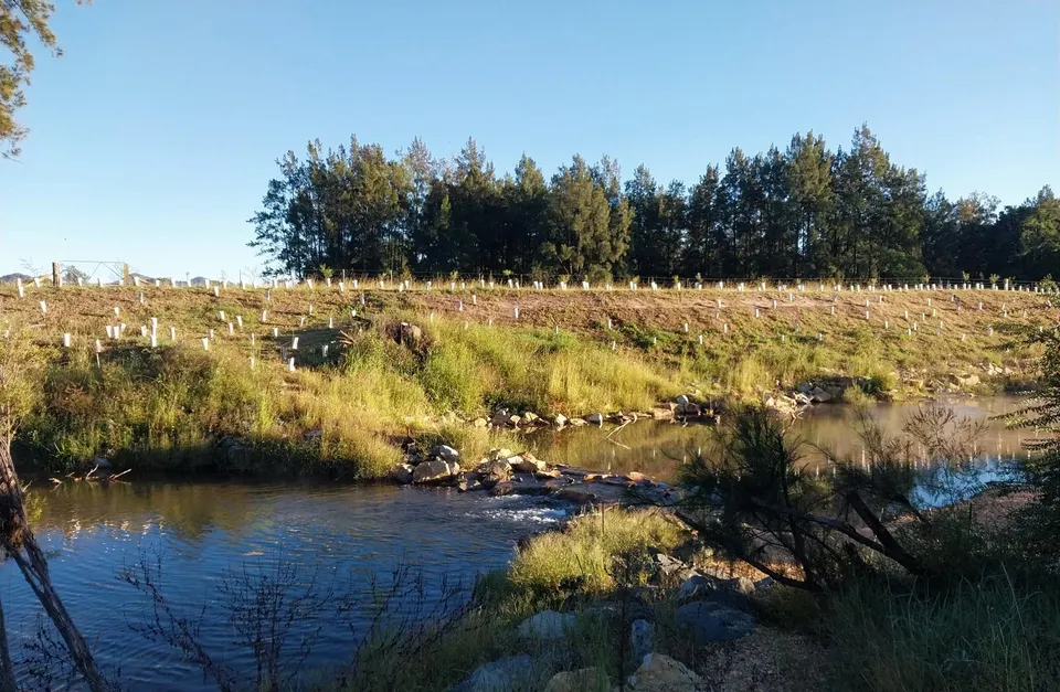Case Study - Resilient farming in the Nambucca Valley