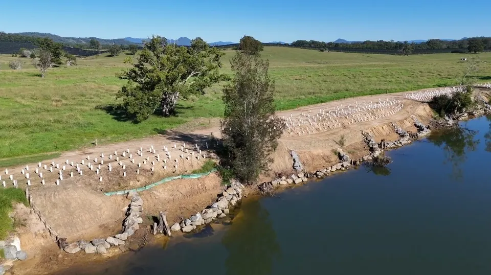 Nambucca Fish Habitat River Restoration Projects