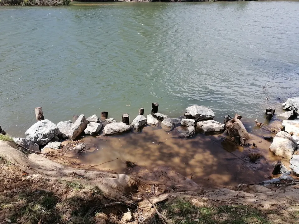River Bank Restoration Techniques 