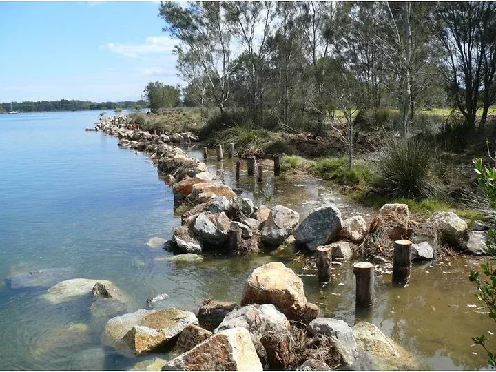Unwanted Tree Stumps Recycled to Restore River Health