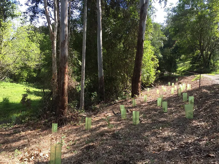 Protecting Coastal Corridors at Yarrahappini 